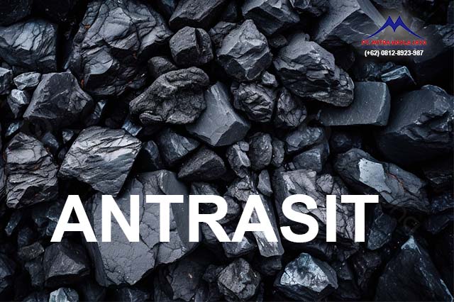 box antrasit mitra nayla jaya