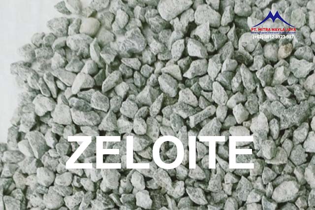 box zeloite mitra nayla jaya